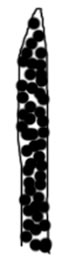 karva